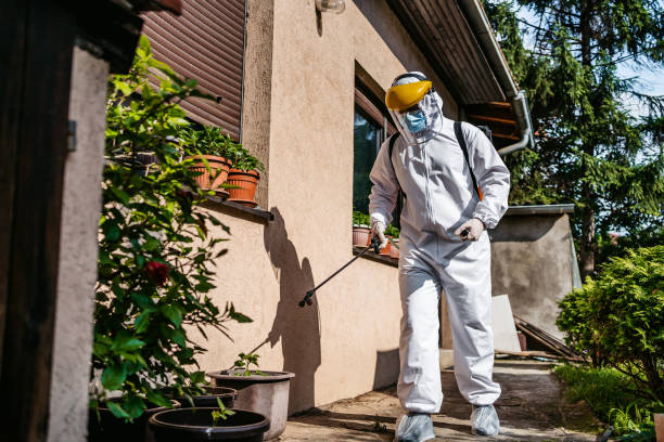 Best Best Pest Control Companies  in Lexington Hills, CA