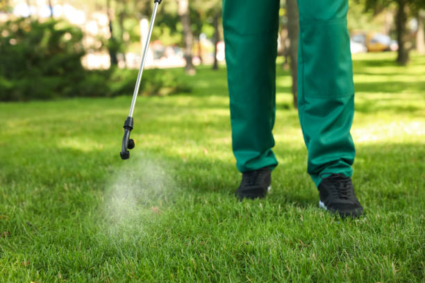 Best Rodent Control Near Me  in Lexington Hills, CA