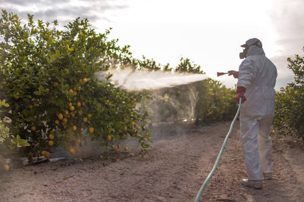 Best Commercial Pest Control Services  in Lexington Hills, CA