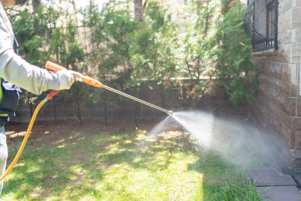 Best Pest Control Treatment  in Lexington Hills, CA