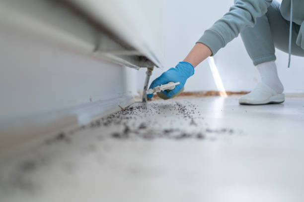 Best Cockroach Control Services  in Lexington Hills, CA